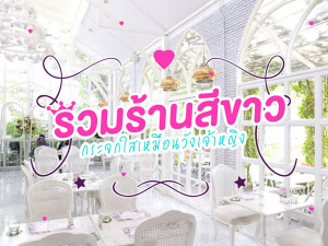 รวมร้านสีขาว มีกระจกใสเหมือนวังเจ้าหญิง