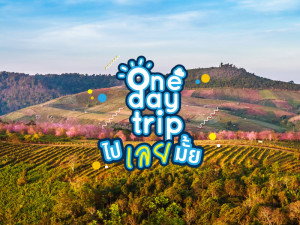 One day trip ไป เลย มั้ย