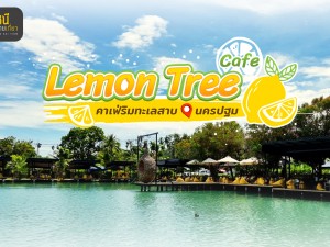 ร้านคาเฟ่สดใสเปรี้ยวจี๊ด ริมทะเลสาบ@นครปฐม " Lemon Tree cafe"