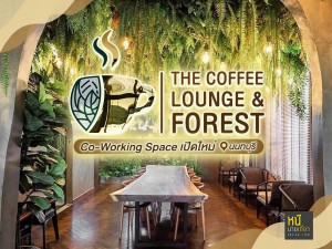 The Coffee Lounge & Forest #Coffee & Co-Working Space เปิดใหม่ "นนทบุรี"