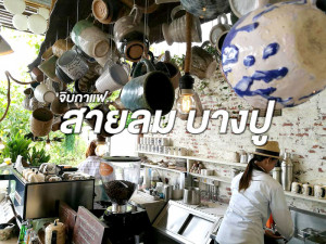 จิบกาแฟ สายลมบางปู