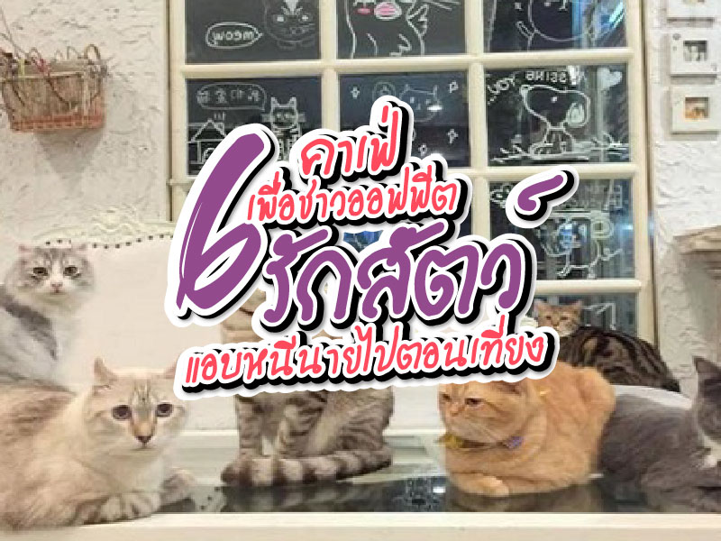 คาเฟ่สัตว์